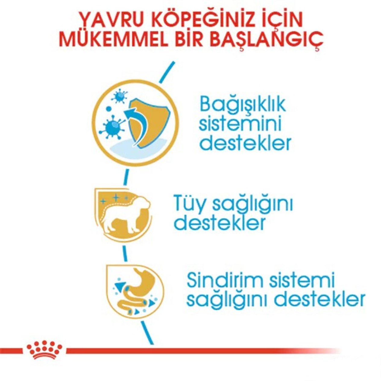 Royal Canin Puppy Poodle Caniche  Yavru Köpek Maması 3 Kg