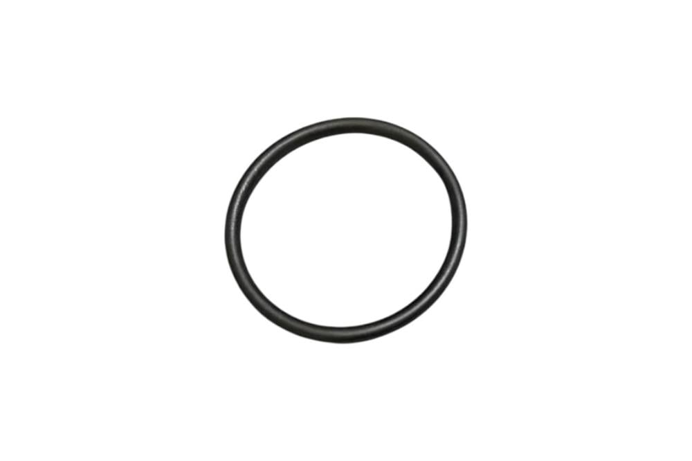 LR004319 O-RİNG TERMOSTAT 3.6