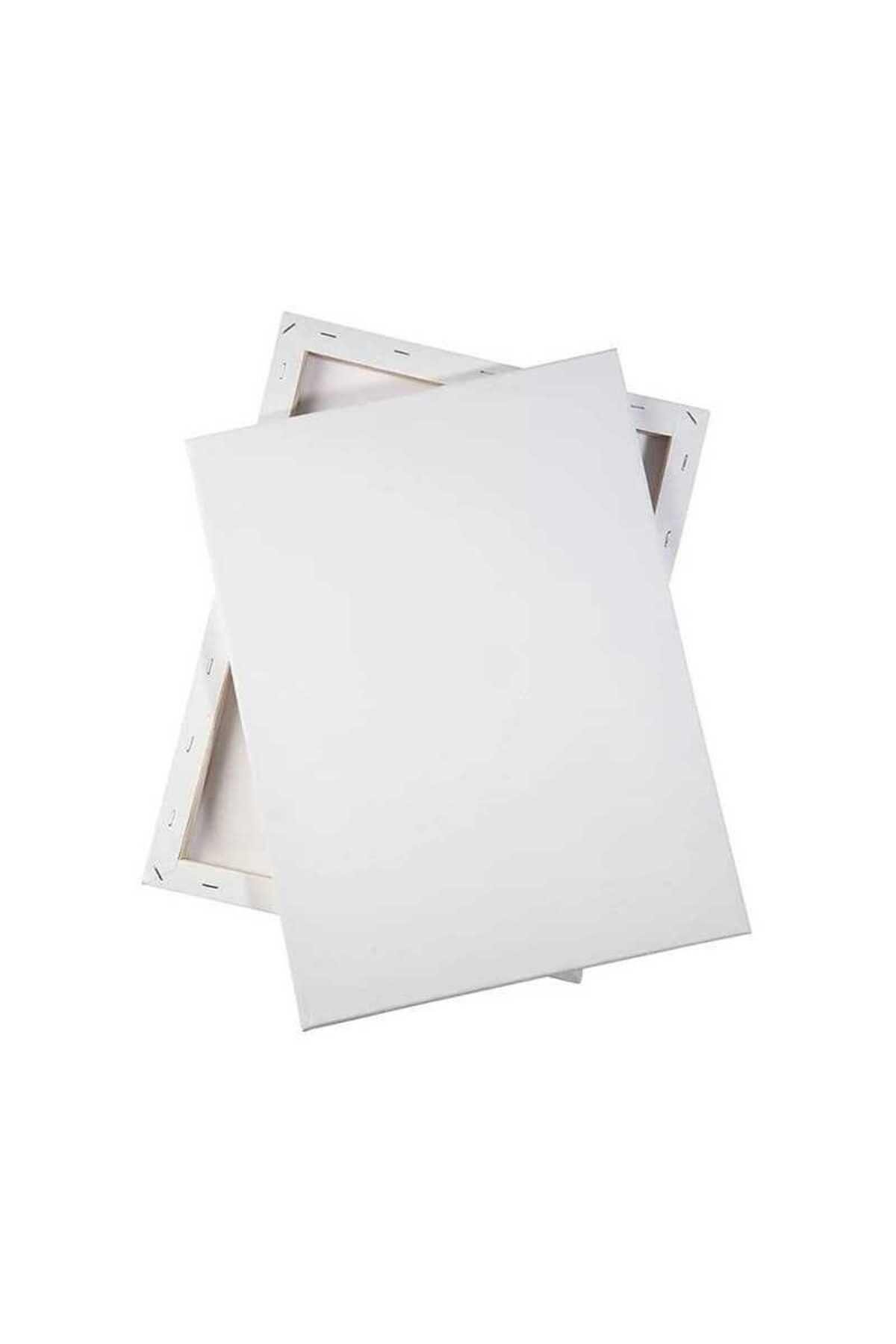 40x50-2-adet-tuval-sanatsal-calismalar-c4ddf1.jpg
