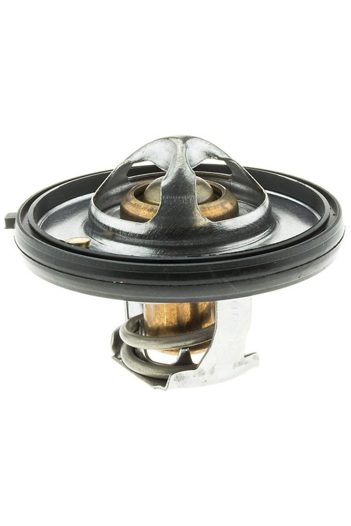 WJ TERMOSTAT 195 F