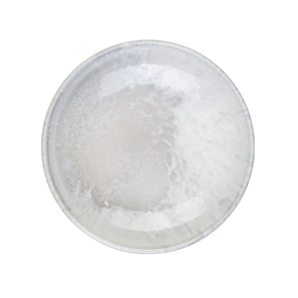 SurfID FinePorser Surf Valla Çukur Tabak 20 cm