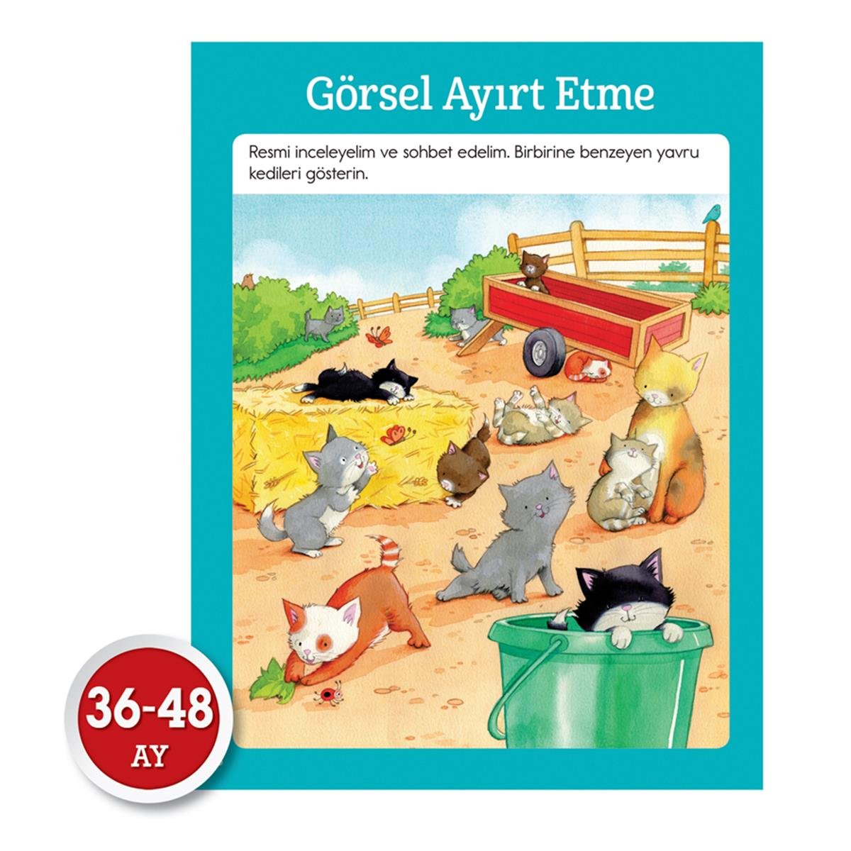 Dikkat Atölyesi  Mucit Beyinler 36-48 Ay