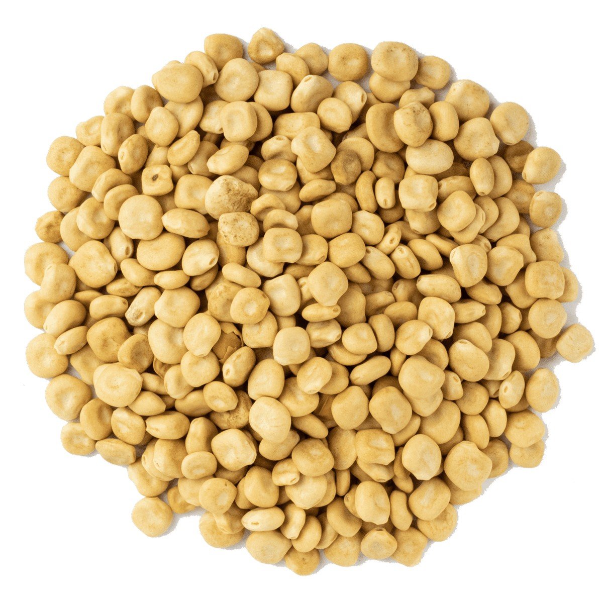 Acı Bakla 1 kg