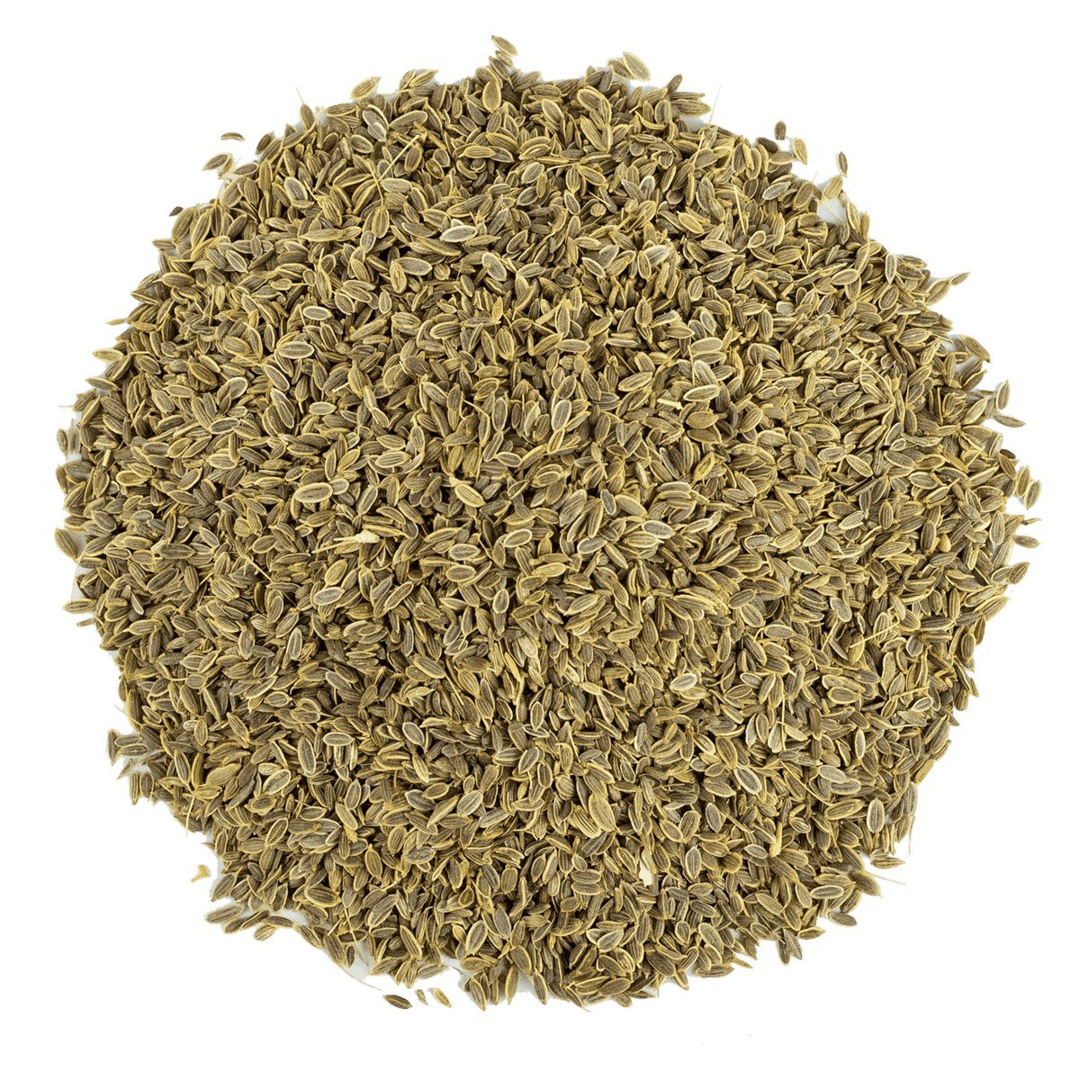 Dereotu Tohumu 1 kg