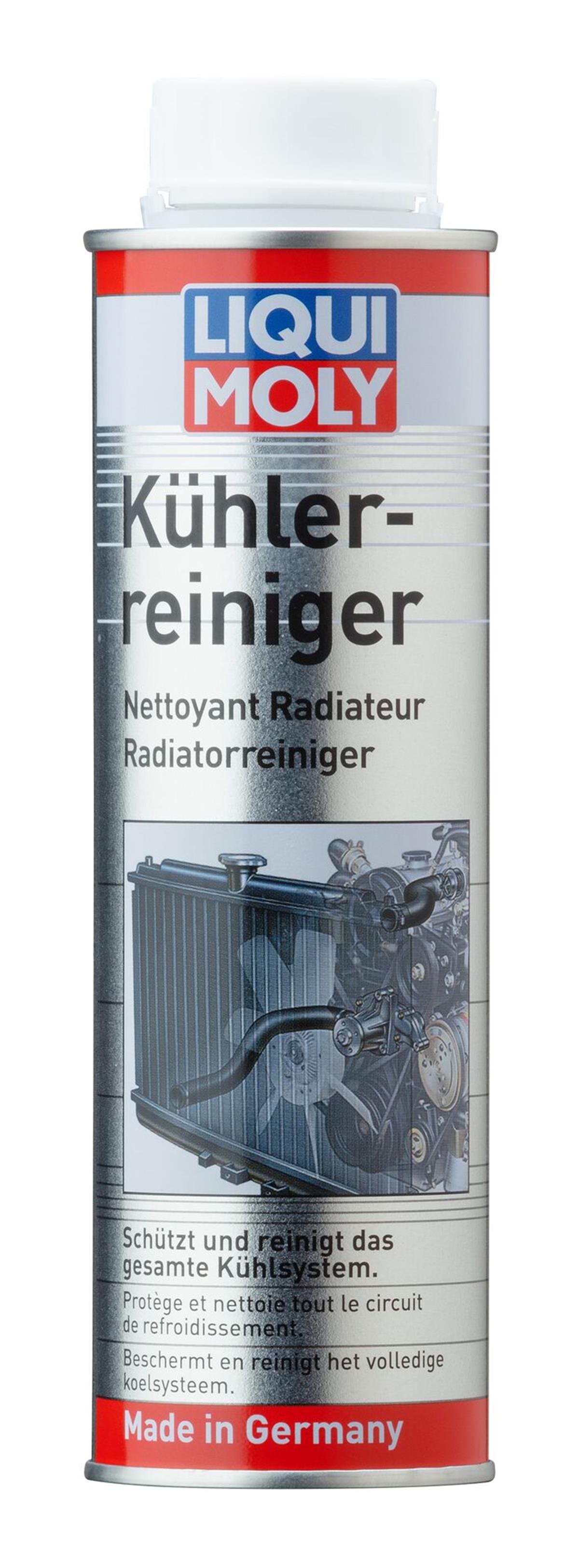 RADYATOR TEMİZLEYİCİ 300 ml