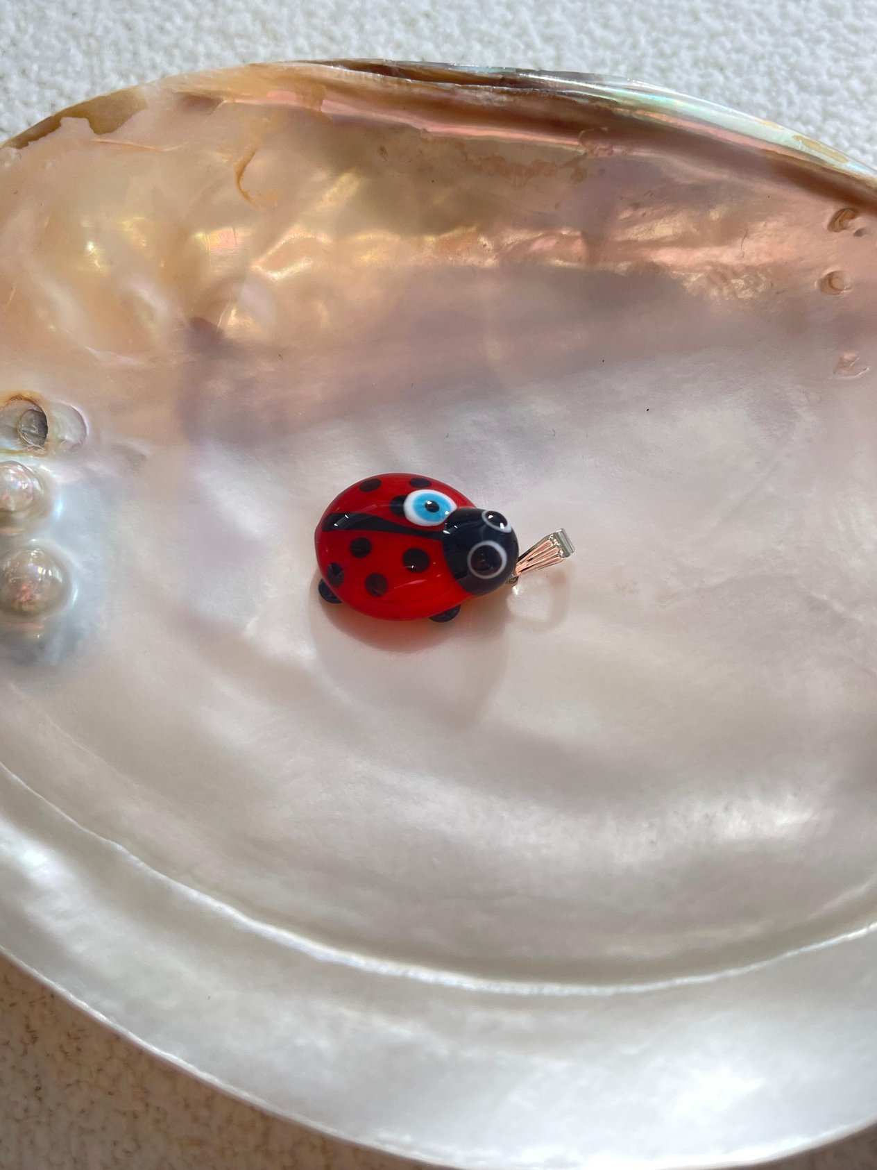 Uğur Böceği Charm