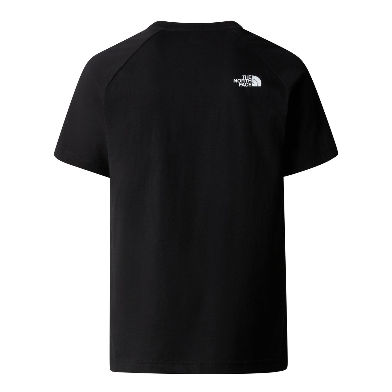 The North Face Raglan Easy Erkek T-Shirt Siyah