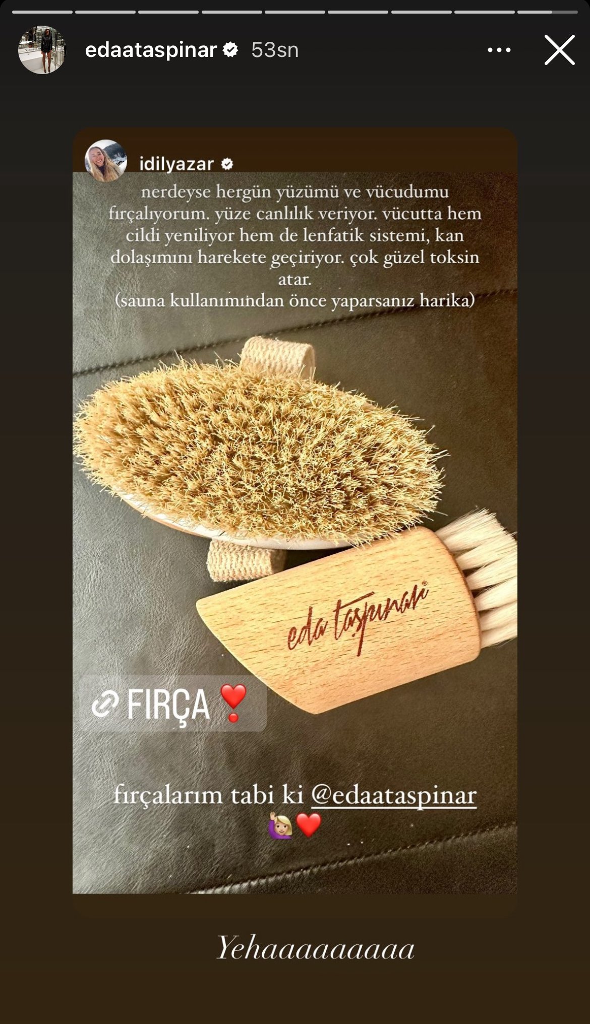 Doğal At Kılı Fırçası Selülite Karşı Etkili