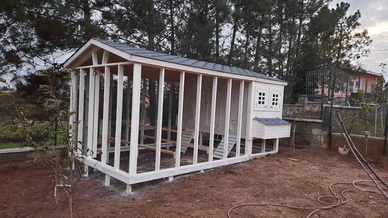 2×4=8m² Tavuk Kümesi
