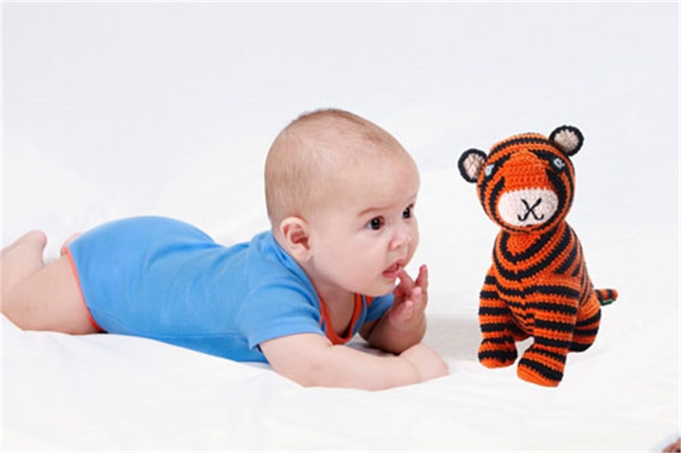 Pebble Bengal Kaplanı