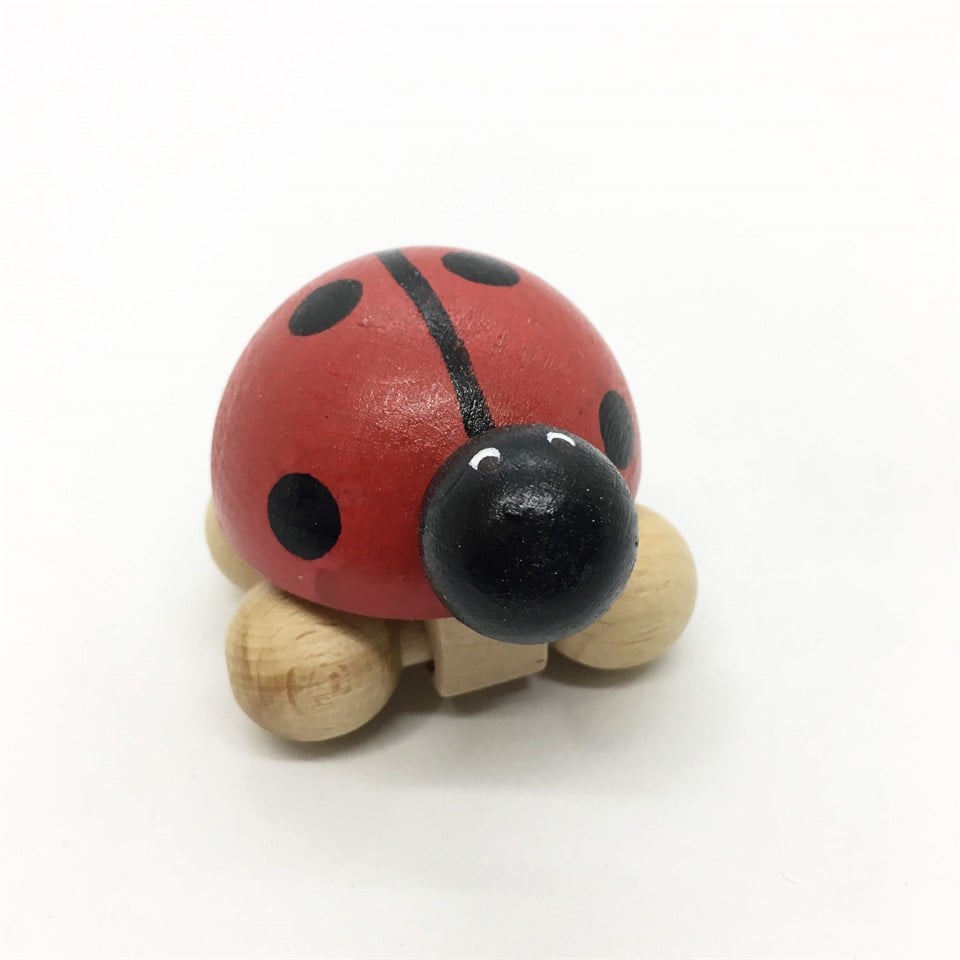 Ahşap Oyuncak Uğur Böceği-Mini