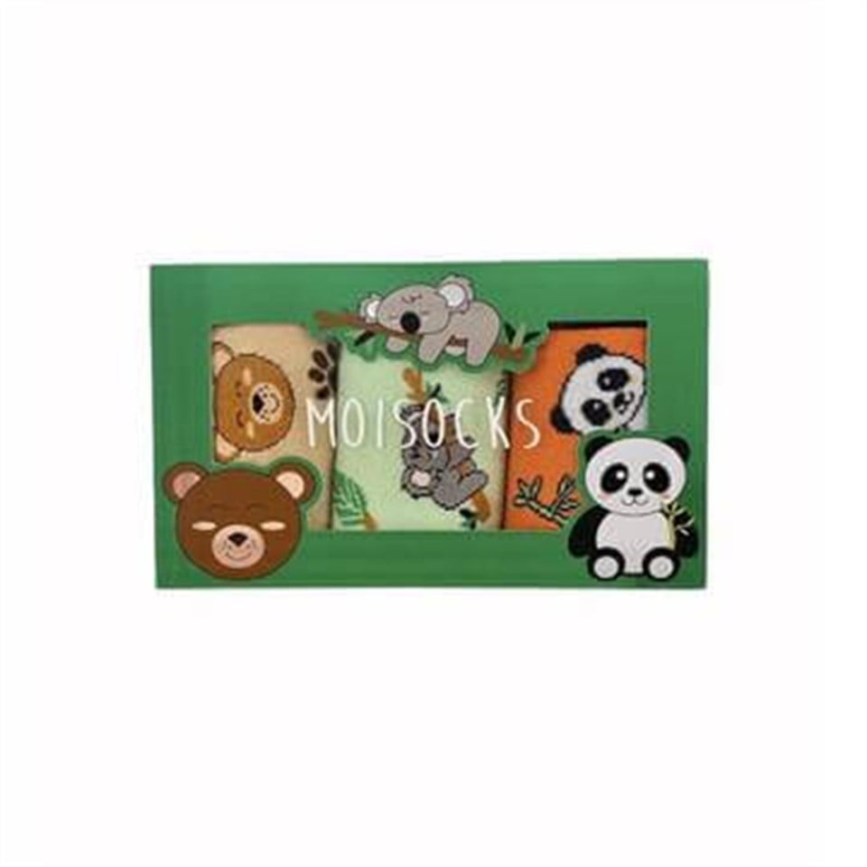 Moisocks 3'lü Çorap-Welcome to the Jungle Box