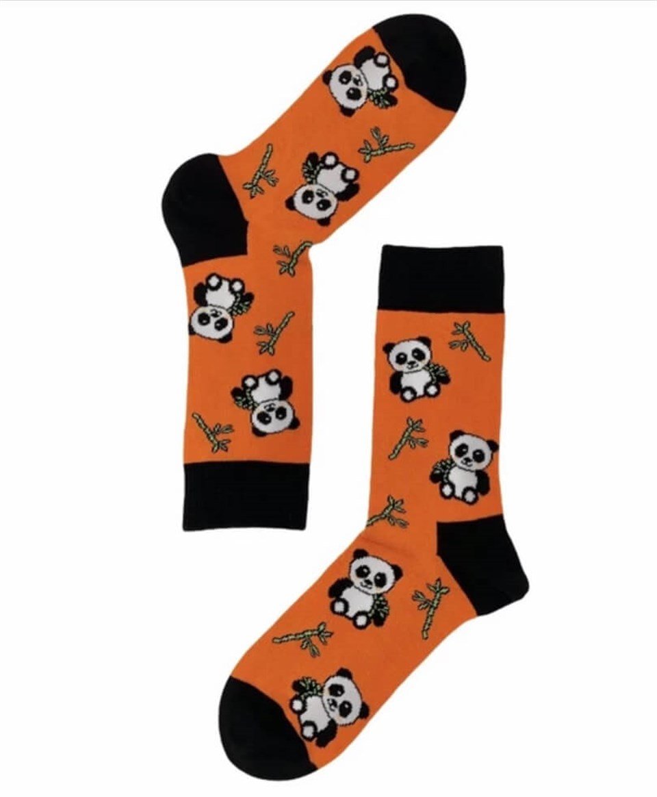 Moisocks 3'lü Çorap-Welcome to the Jungle Box