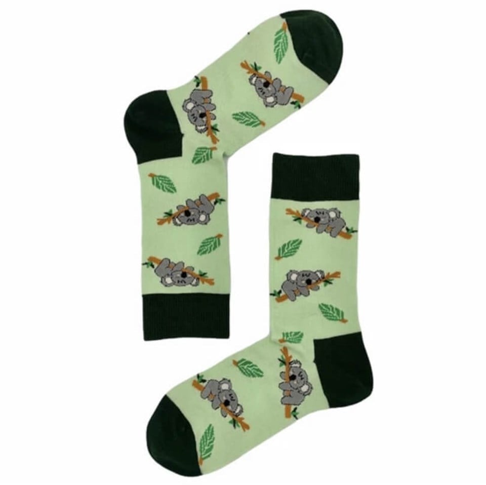 Moisocks 3'lü Çorap-Welcome to the Jungle Box