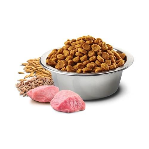 Nd Düşük Tahıllı Kuzu Etli ve Yaban Mersinli Kedi Maması 10 Kg