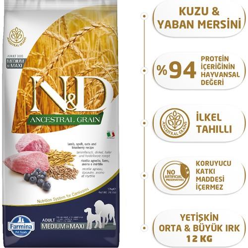 N&D Kuzu Etli ve Yaban Mersinli Orta ve Büyük Irk Ata Tahıllı Yetişkin Köpek Maması 12kg