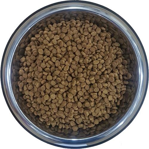 Pro Plan Tavuklu Yetişkin Kedi Mamasi 10kg