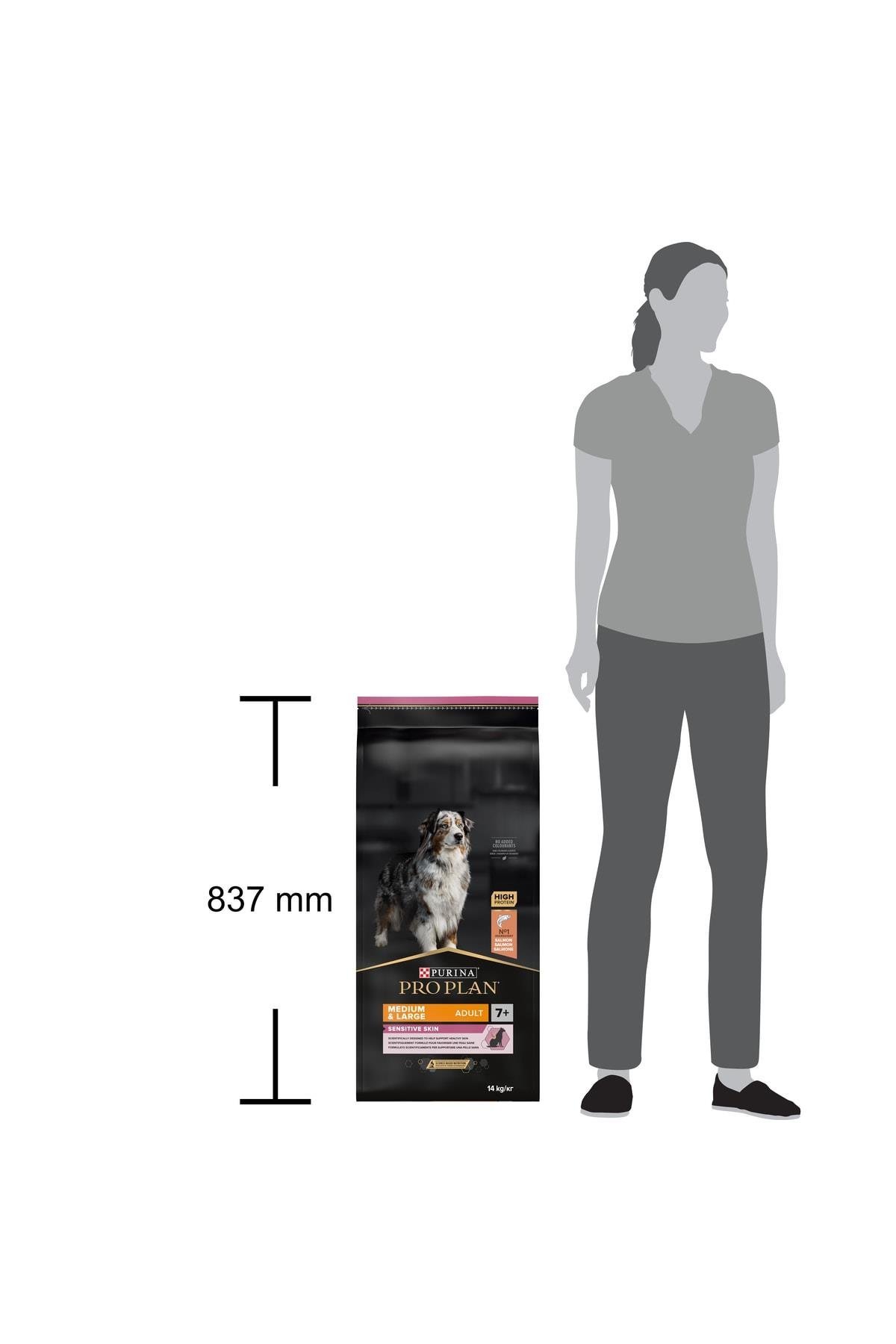 ProPlan Somonlu Hassas Yaşlı Kuru Köpek Maması 14 Kg