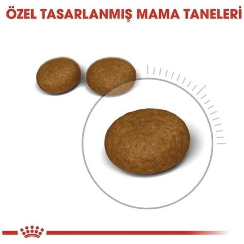 Royal Canin Hair and Skin Care 2 kg Hassas Deri Sahibi Kediler için Mama