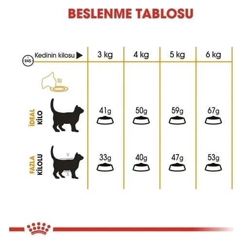 Royal Canin Hair and Skin Care 2 kg Hassas Deri Sahibi Kediler için Mama