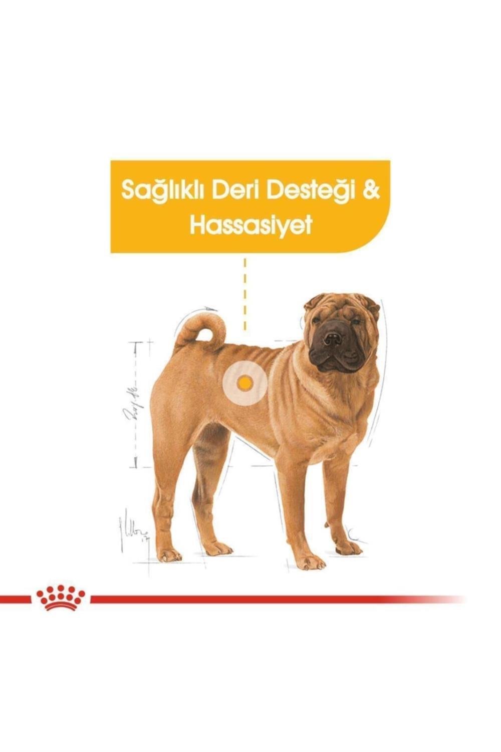 Royal Canin Medium Dermacomfort Yetişkin Köpek Maması 12 Kg
