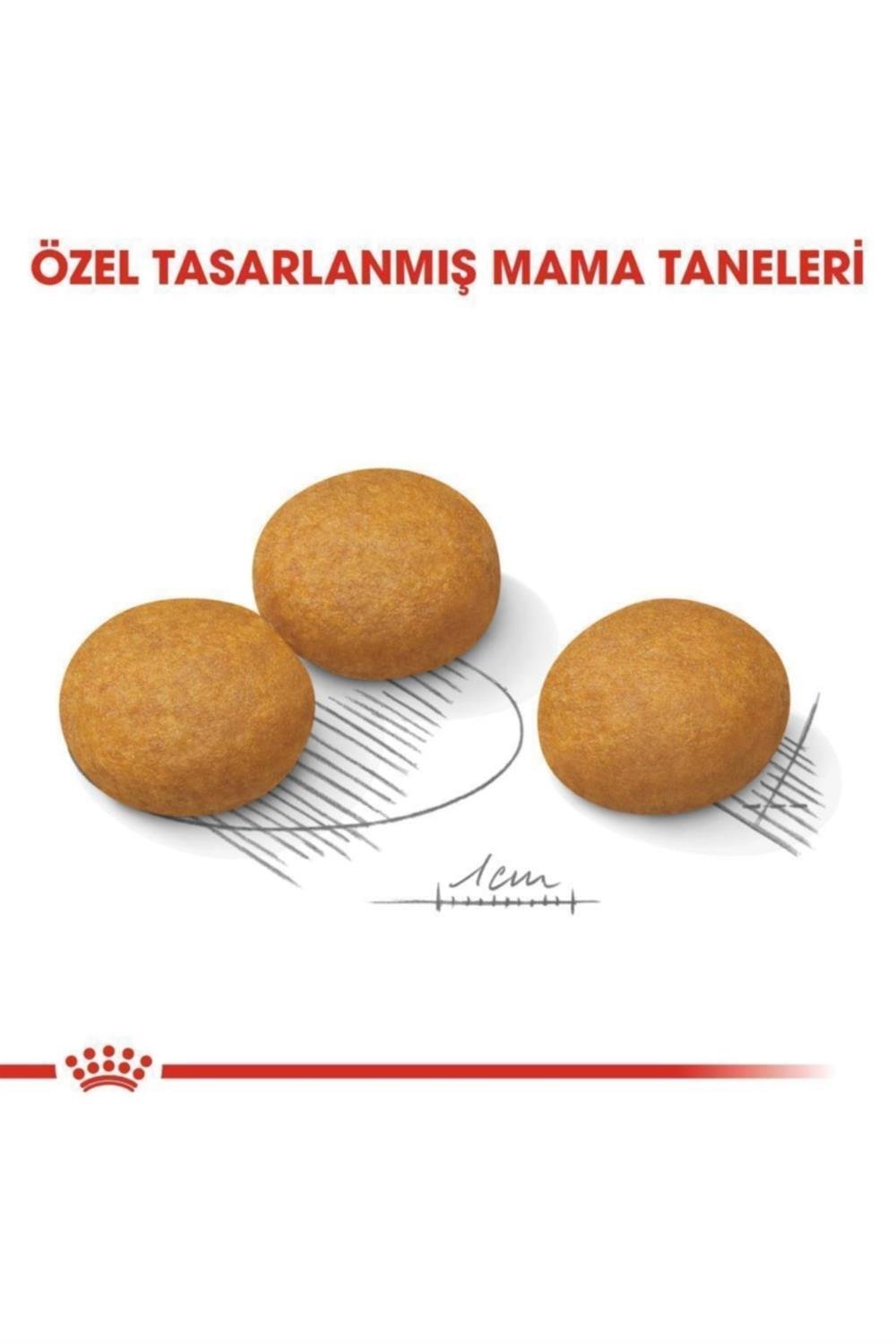 Royal Canin Medium Dermacomfort Yetişkin Köpek Maması 12 Kg