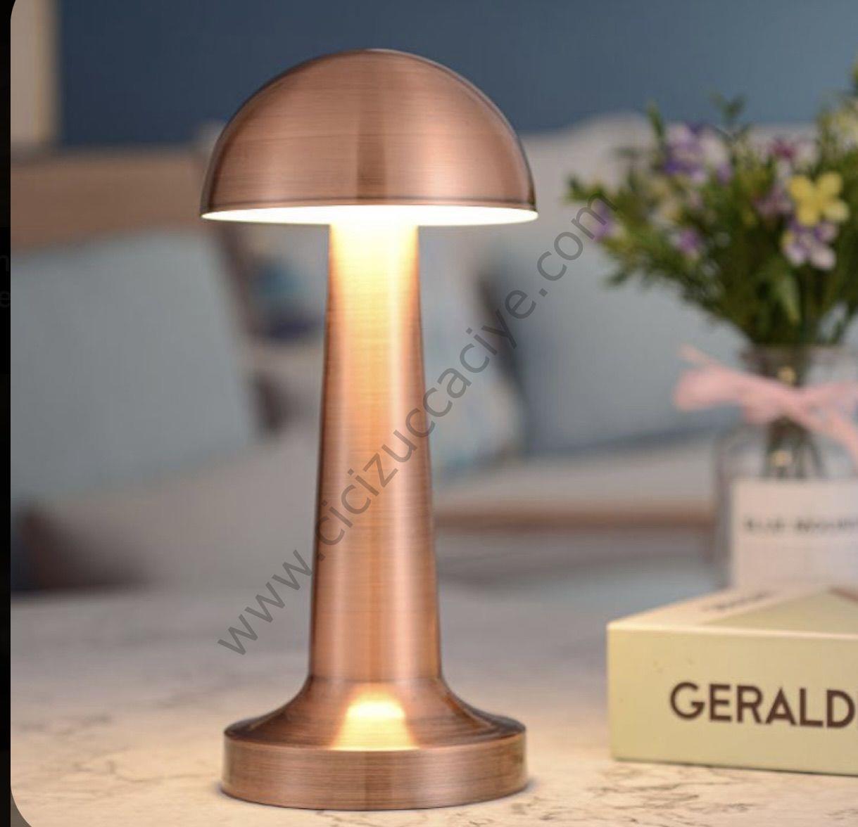 DEKORATİF MANTAR BRONZ LED