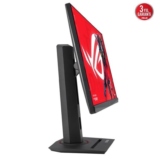 ASUS 24.5