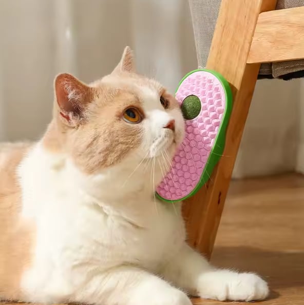 PATİSHOPYACatnip Toplu Kedi Kedi Fırça 