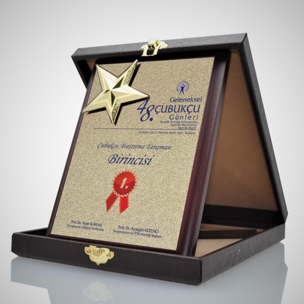 Kıbrıs Yıldızlı Deri Kutulu Plaket