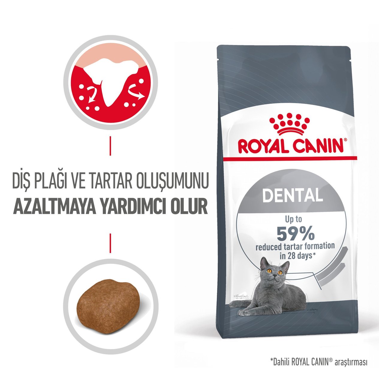 Royal Canin Dental Care 1.5Kg