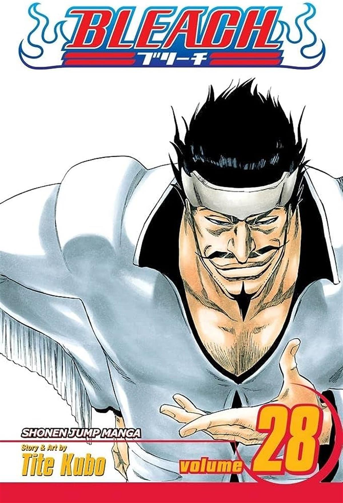 bleach-28.cilt-97bcbe.jpg