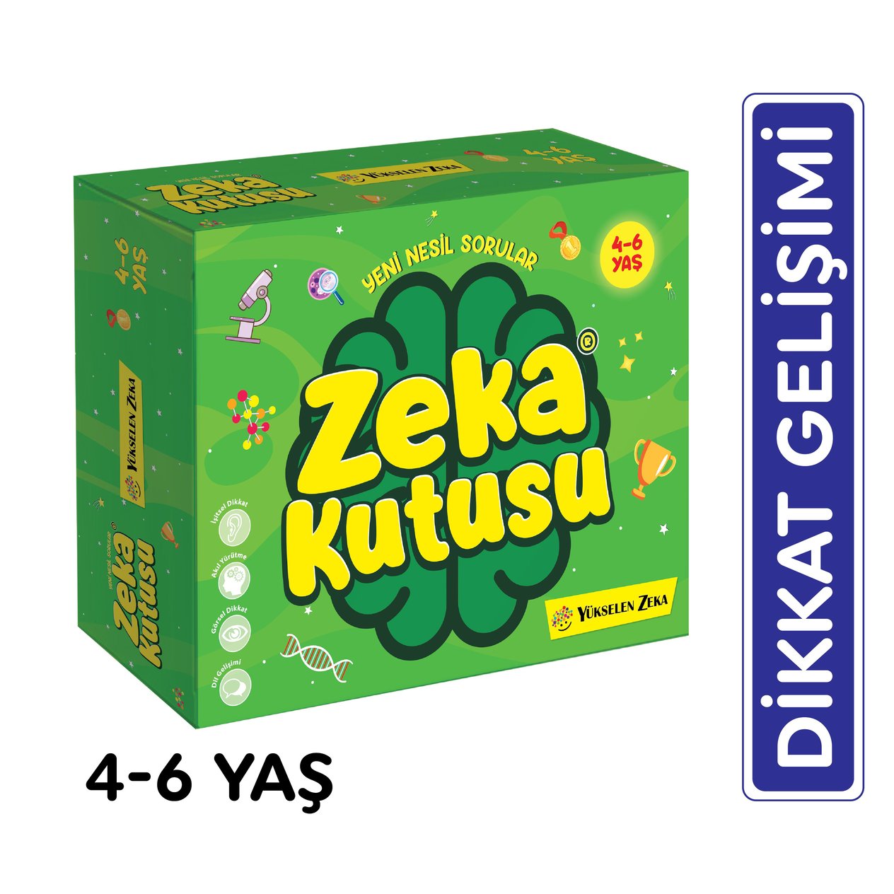 Zeka Kutusu 4-6 Yaş
