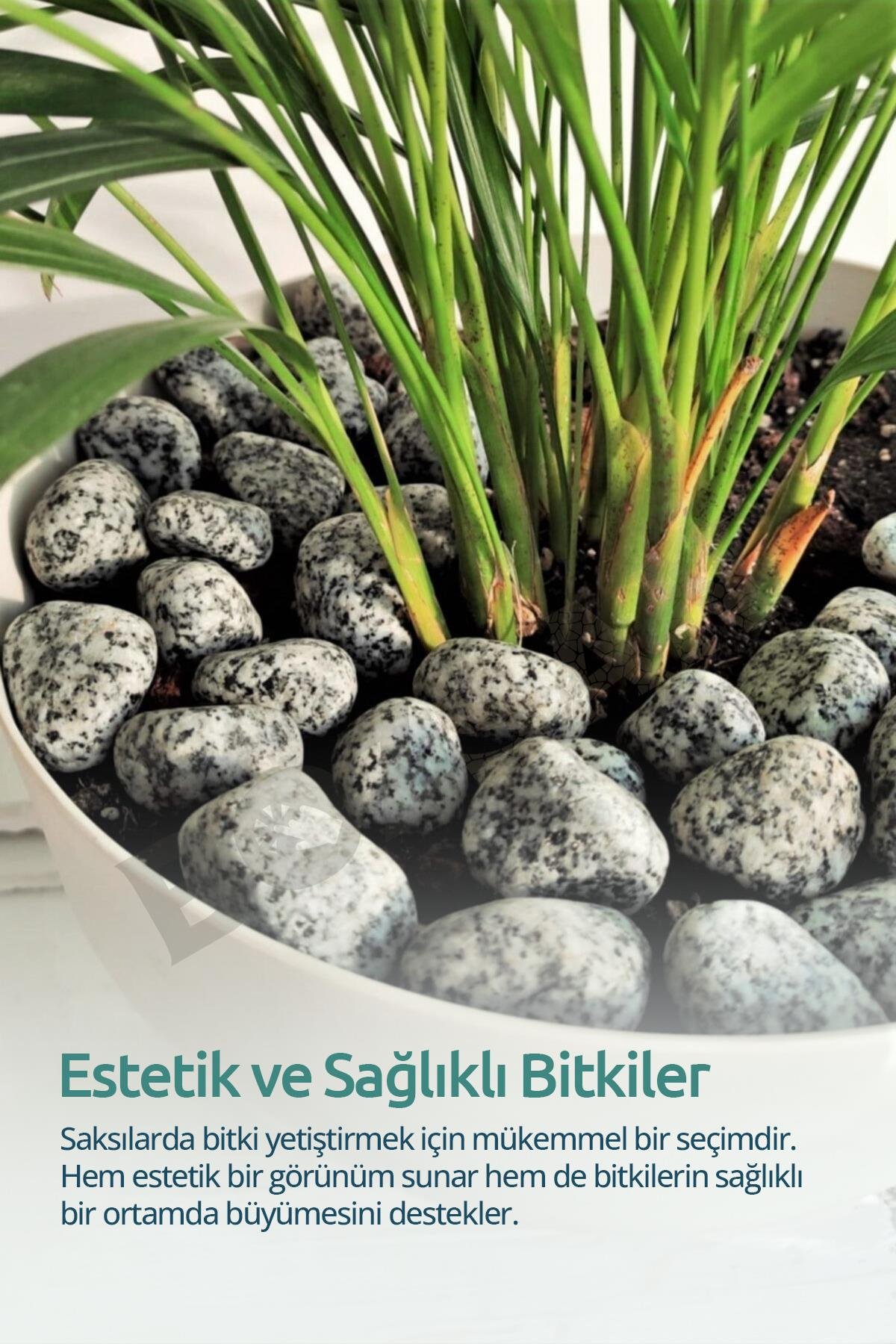 Granit Taş 2-4cm Dolomit Taşı Bahçe Süs Akvaryum Taşı Dere Çakıl Taşı 50 Kg