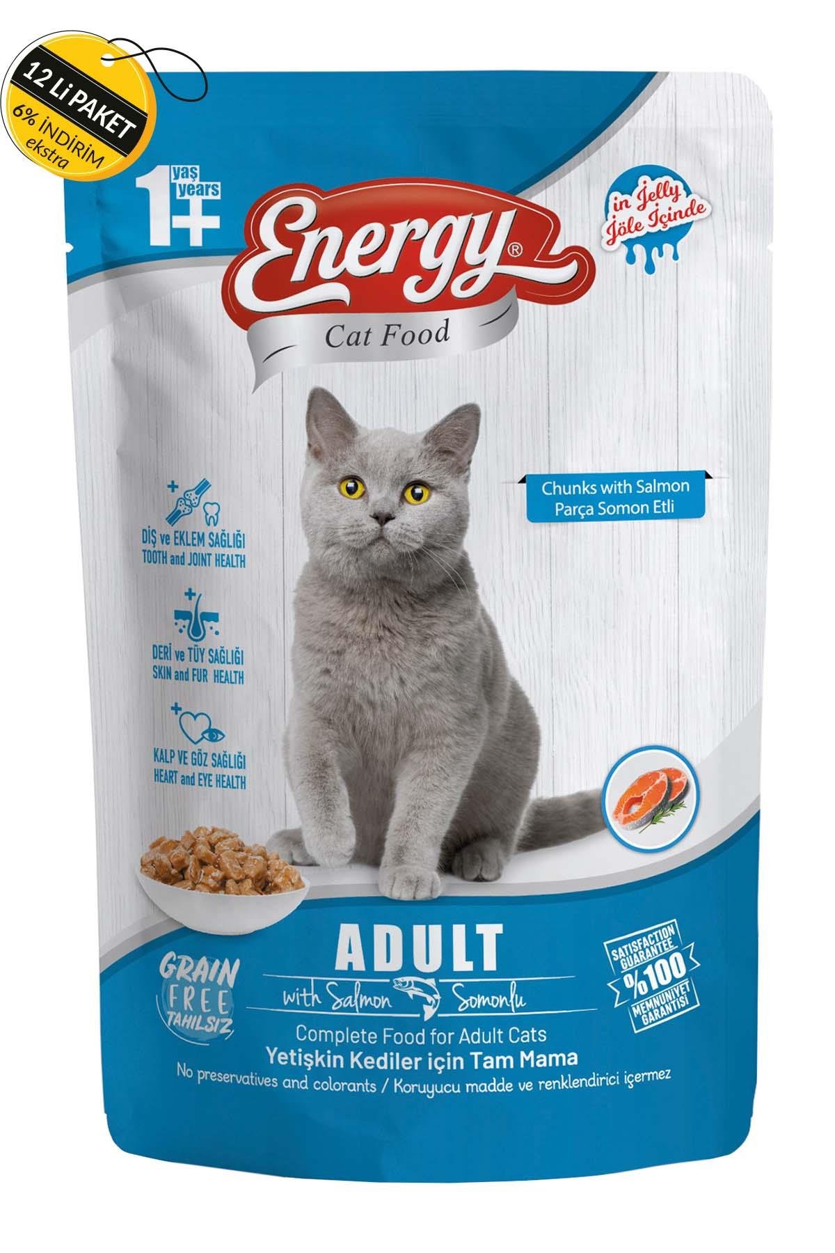 Energy Somonlu Yetişkin Islak Kedi Maması 85 G Özel Koli (12 Adet)