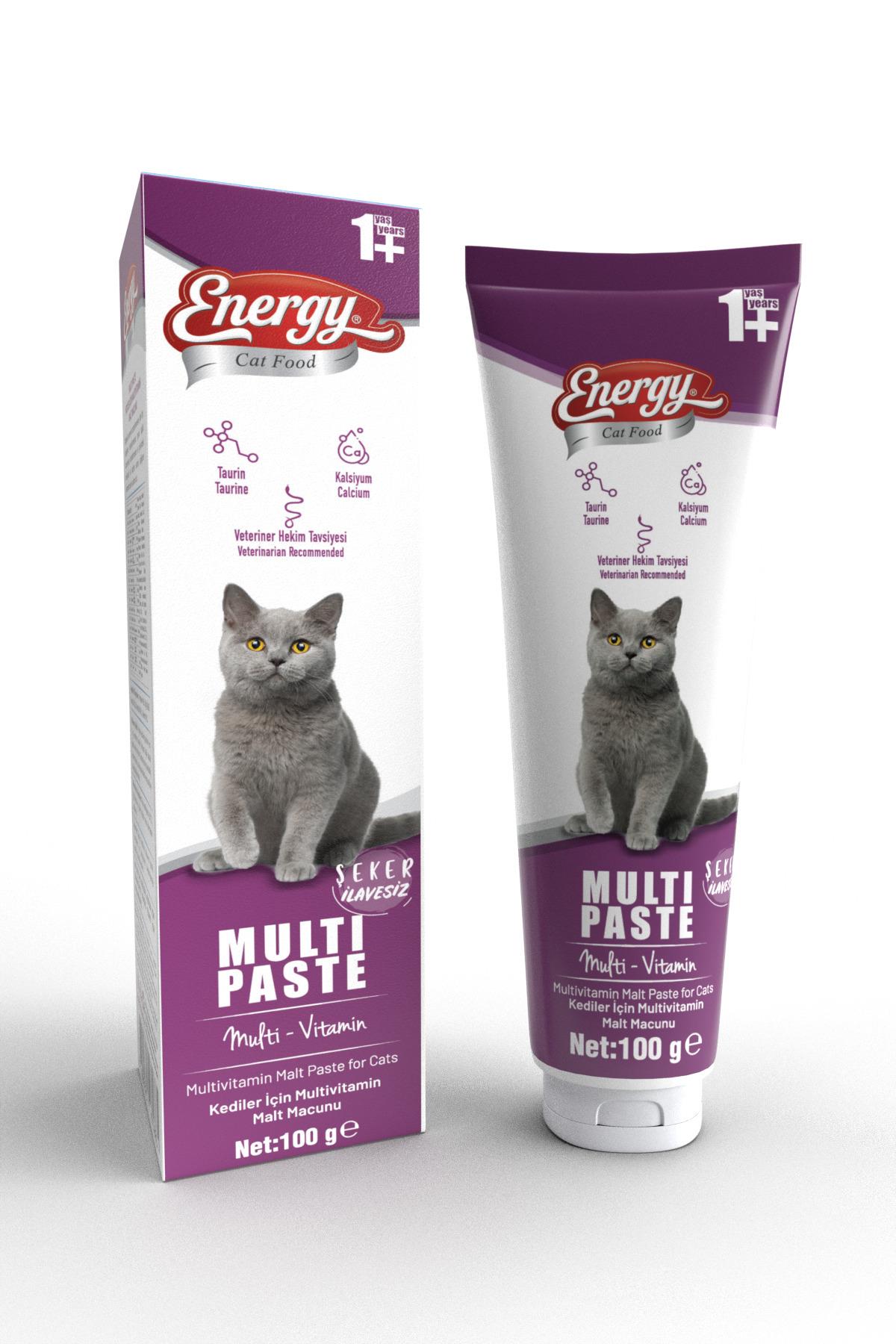 Multi Paste 100gr Multivitamin Malt (Bağışıklık Sistemi Destekleyici Tüy Yumağı Önleyici Macun)