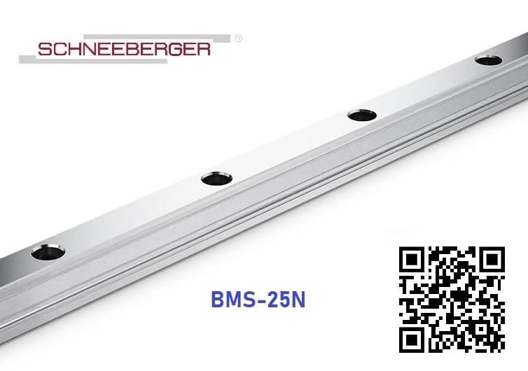 BMS-25N Ray