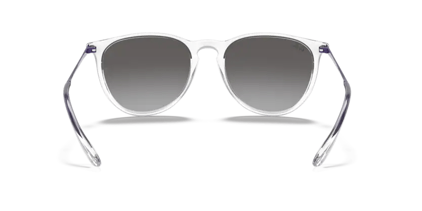 Rayban Güneş Gözlüğü 0RB4171 65161154
