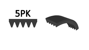 V KAYISI