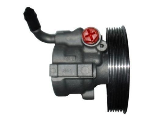 DİREKSİYON POMPASI KASNAKLI LAGUNA II 1.6 16V (126MM 6)