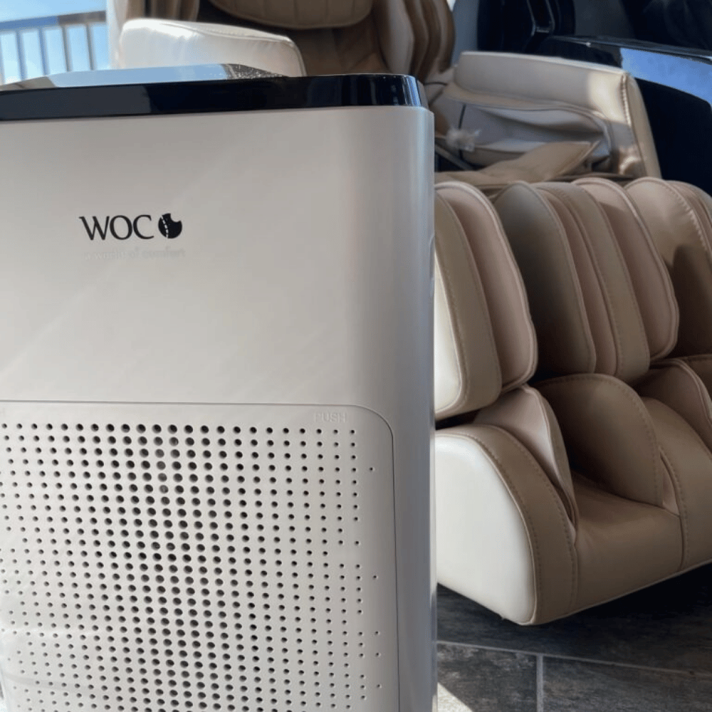 Air Cleaner
