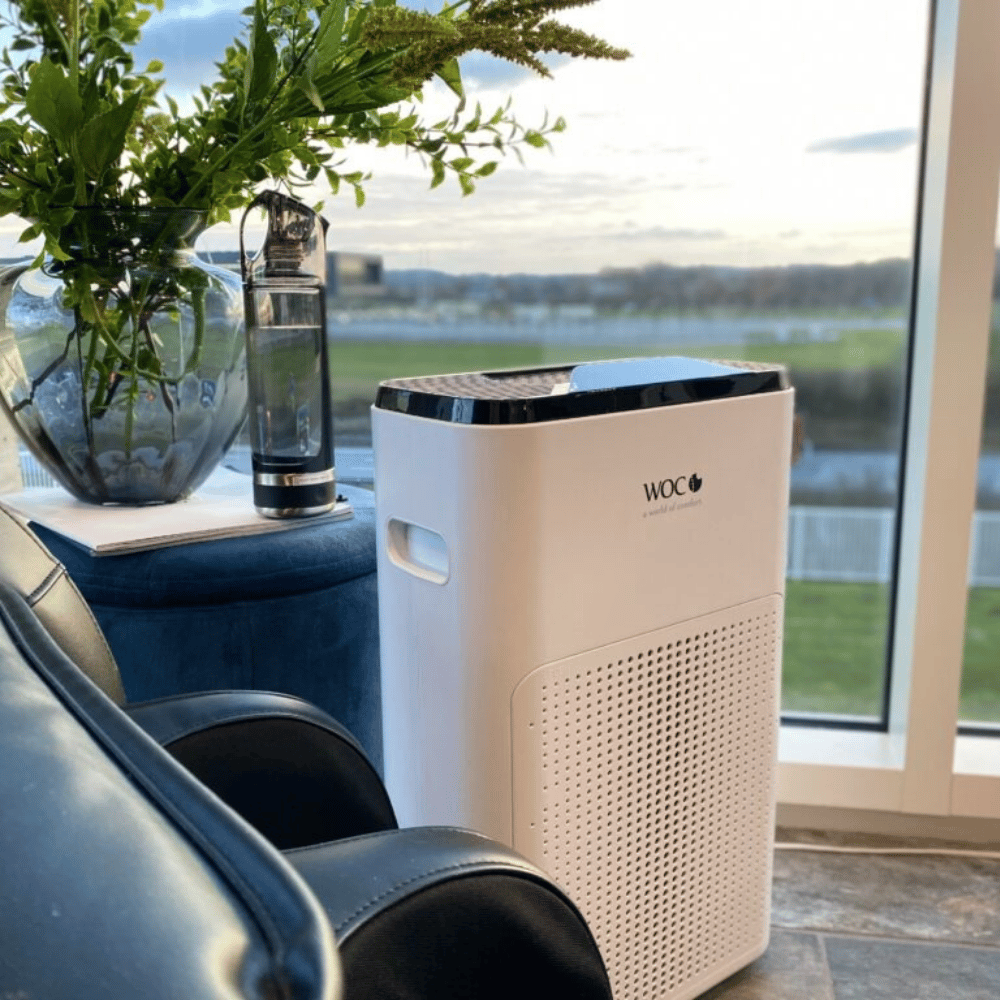 Air Cleaner