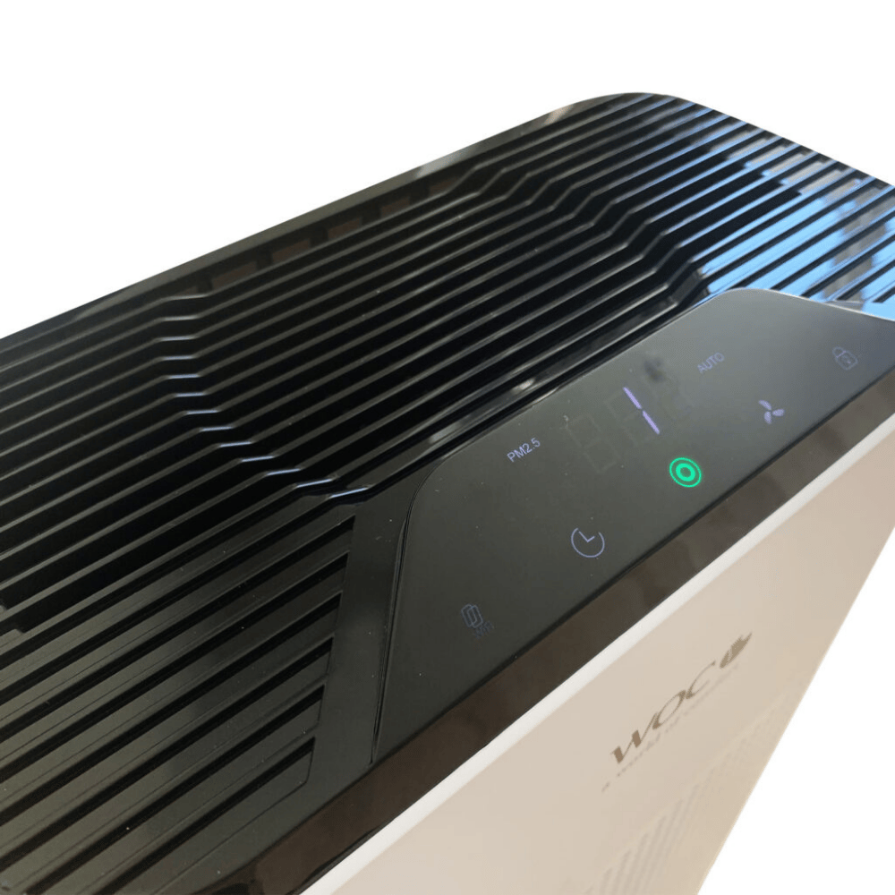 Air Cleaner