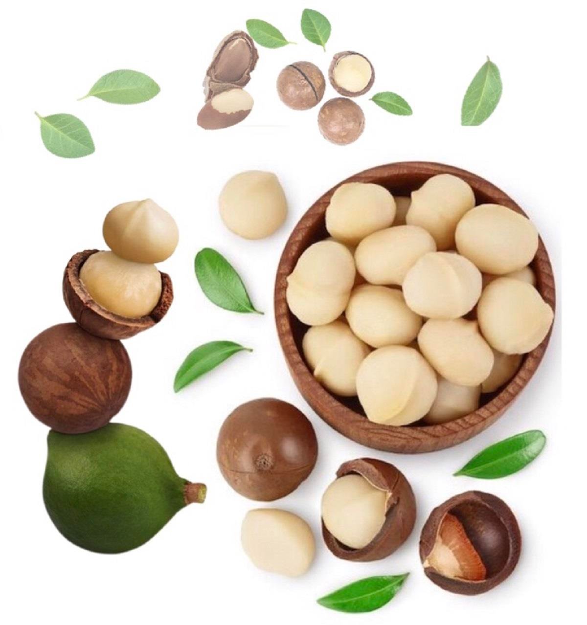 Macadamia (Makadamya) Fındığı 300gr