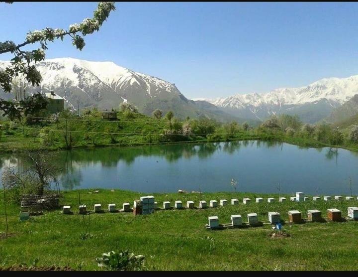 Organik Karakovan Çiçek Balı 1275gr  Nehr-İ Şemdinli 