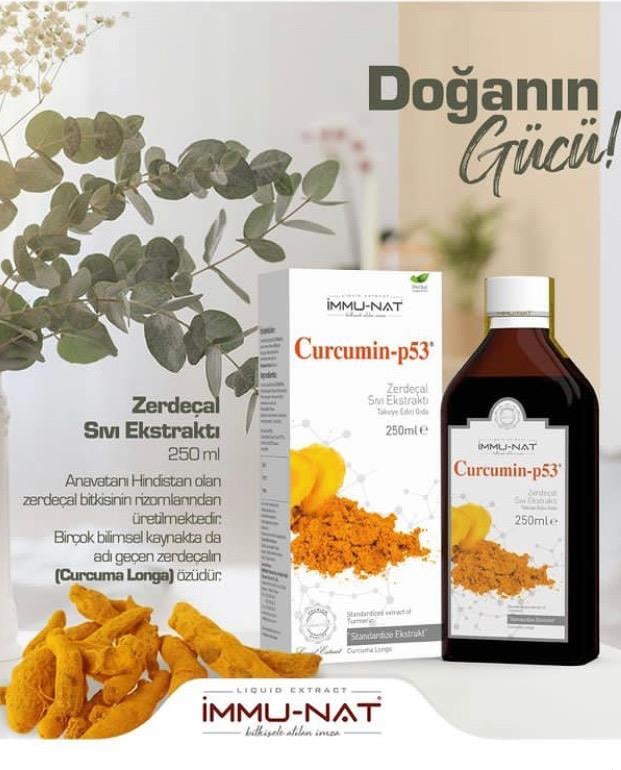 Zerdeçal Ekstraktı Curcumin-p53 250 Ml İmmunat