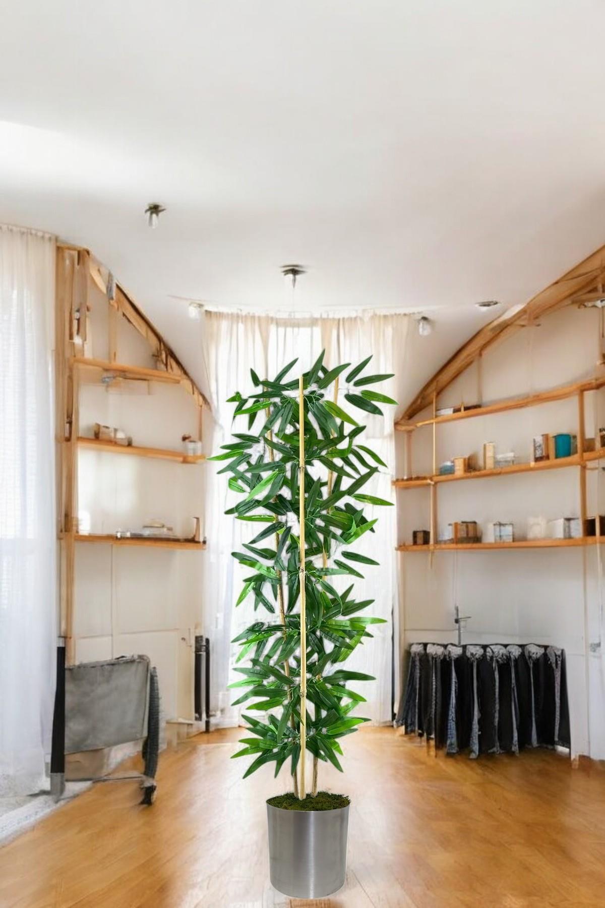  Dekoratif Yapay Yapraklı 3 Gövde Bambu Ağacı 190 cm   Bambu metal  saksı