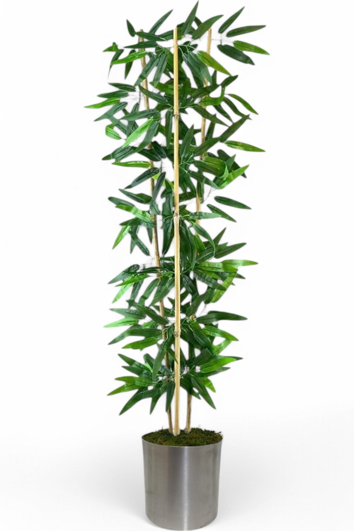  Dekoratif Yapay Yapraklı 3 Gövde Bambu Ağacı 190 cm   Bambu metal  saksı