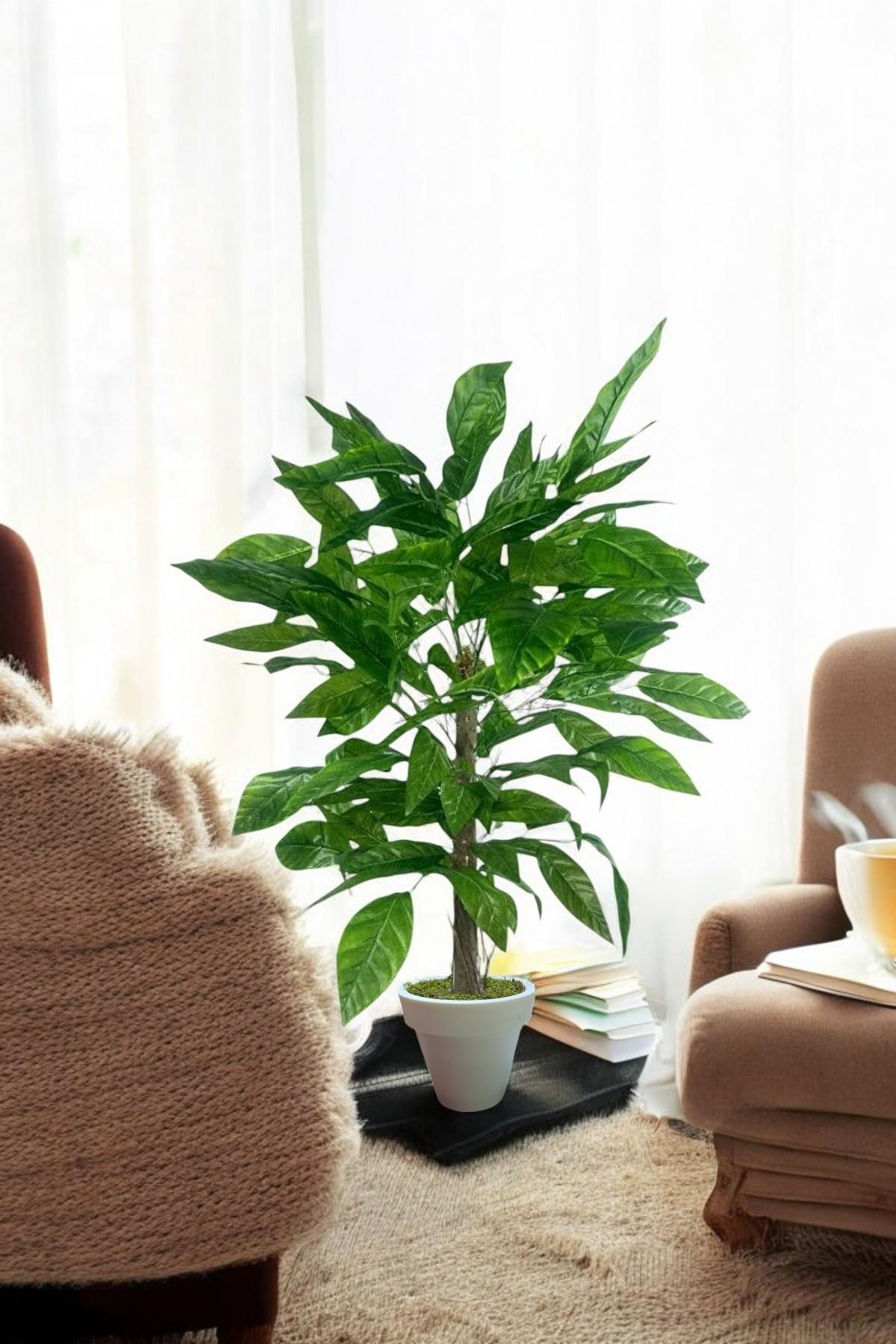 110 cm ceviz ağaçı  dogal gövdeli beyaz plastık saksı