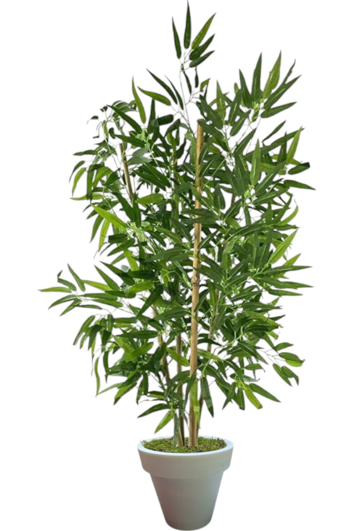 120 cm  4 gövdeli yapay bambu agacı  beyaz plastik saksı